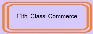 11th Class Commerce